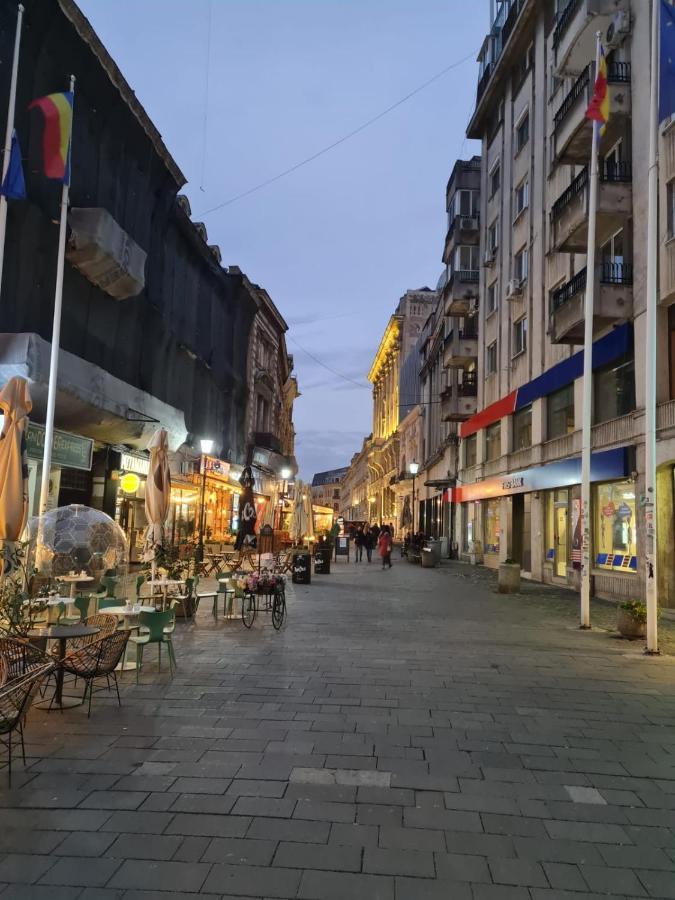 Апартаменты Color Ap Calea Victoriei 12C Бухарест Экстерьер фото